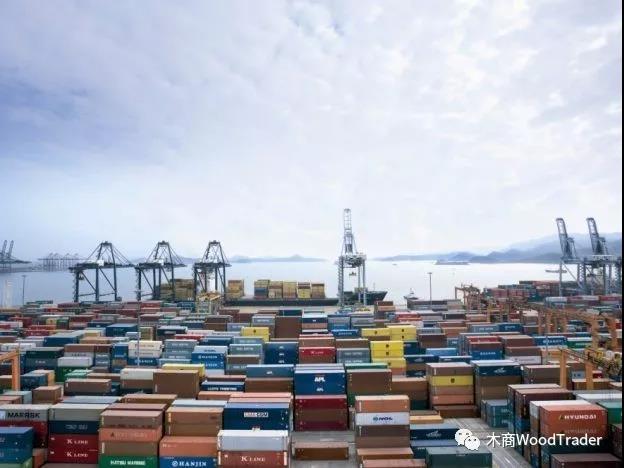 太倉港木材進(jìn)口量創(chuàng)歷史性記錄！(圖1)